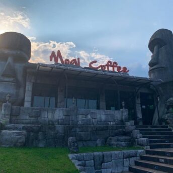 Альпака парк 8 Кофейня в стиле острова Пасхи