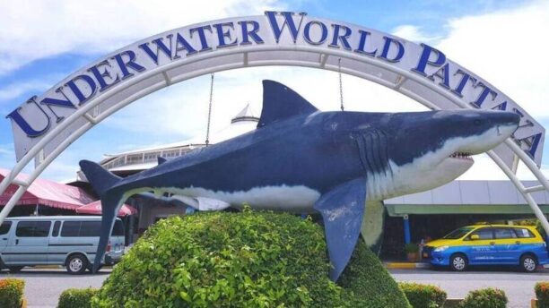 Океанариум в Паттайе 2 Океанариум в Паттайе Underwater World