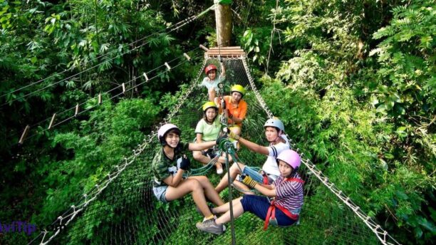 Полет Тарзана 2 Полет Тарзана в Tree Top Adventure Park Паттайя