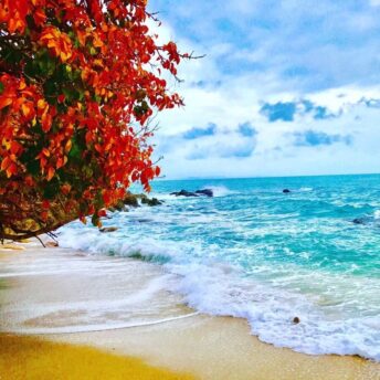 Тайские Мальдивы 2 Тайские Мальдивы Koh Munnork Private Island