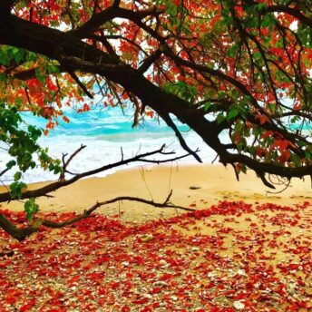Тайские Мальдивы 5 Бунгало у моря на Koh Munnork