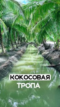 Пятый элемент 2 Экскурсия Пятый элемент из Паттайи