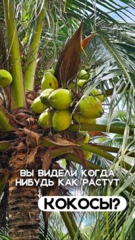 Пятый элемент 4 Соляная ферма в Таиланде