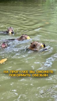 Пятый элемент 10 Четыре стихии в экскурсии Пятый элемент