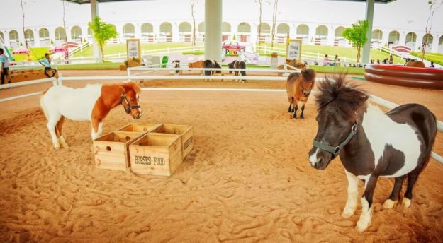 Детские приключения 5 Pipo Pony Club в Паттайе