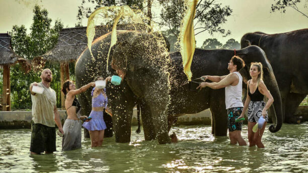 СПА со слонами 6 Купание со слонами в Elephant Jungle Sanctuary